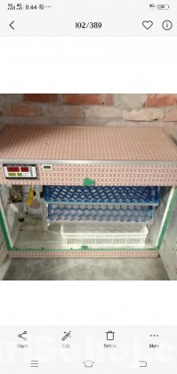 Egg incubator ফুল অটো জার্মান প্রযুক্তির 300